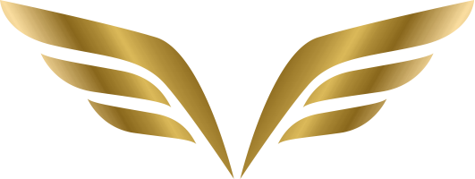 Validaus winged emblem logo